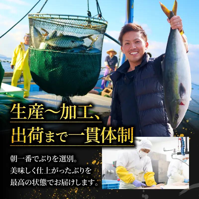 ブリ＆カツオ 藁焼き たたき 食べ比べ セット カツオのたたき