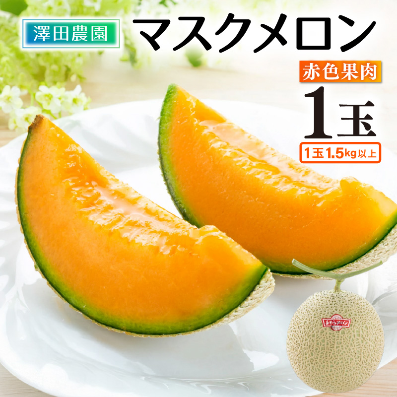 【先行予約】赤肉マスクメロン（1.5kg以上 1玉入）味も見た目も抜群！アールスメロン  / 期間限定 果物 フルーツ 産地直送 赤肉 人気 ギフト 贈答 ※2026年7月上旬より順次発送 [aw039-a016]