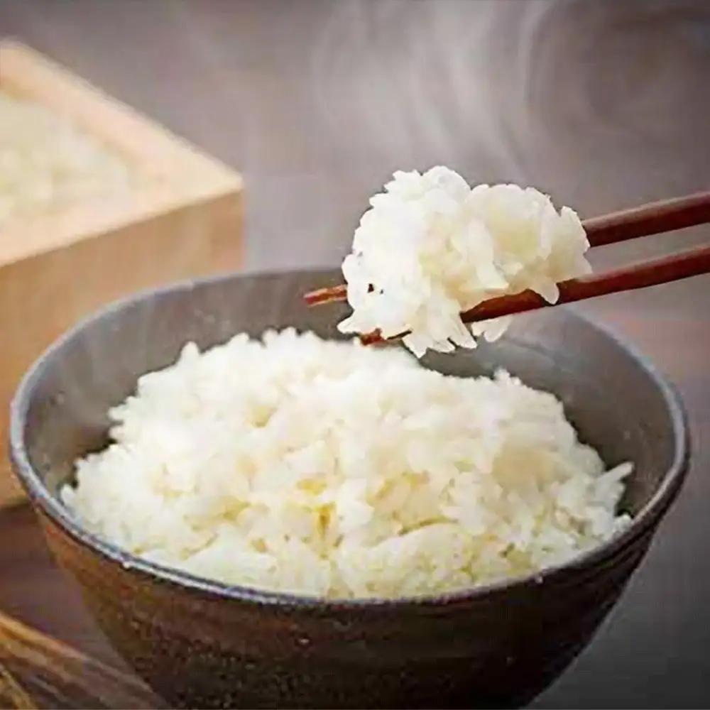 【令和7年産】八町米 コシヒカリ１０Kg