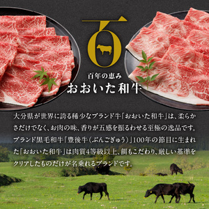 2419R_【贈答用】A4～A5等級おおいた和牛ウデ肉スライス400g（1パック）