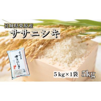 ふるさと納税 栗原市 【令和7年産】宮城栗原産 ササニシキ 白米5kg (5kg×1袋)