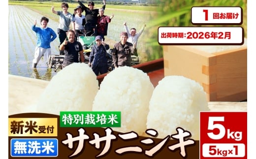 《新米受付》令和7年産【無洗米】特別栽培米 ササニシキ 5kg 秋田県産【2026年2月出荷】