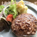 【ふるさと納税】土佐あか牛ハンバーグ