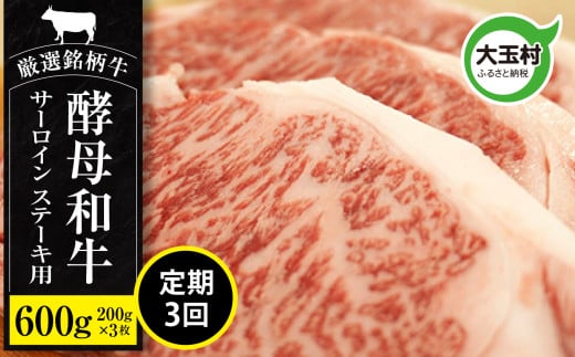 
【 定期便 】 あだたら酵母牛 サーロイン ステーキ 用 600g（ 200g × 3枚 ） 計3回 【02119】 牛肉 肉 和牛 黒毛和牛 国産 焼肉 福島県 大玉村 鉄板焼 牛
