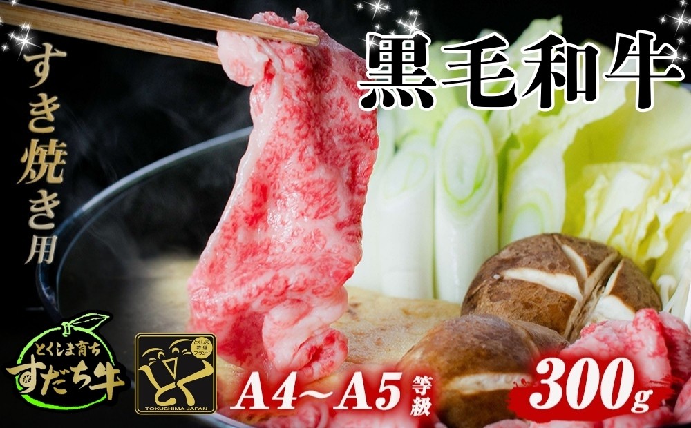 
すだち牛 黒毛和牛 （ すき焼き用 ） 300g 国産 牛肉 すき焼き 赤身 冷凍 お肉 肉 グルメ ギフト 和牛 霜降り カット 小分け
