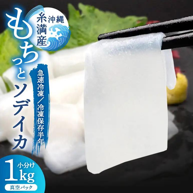 ソデイカ 約1kg いか  セーイカ