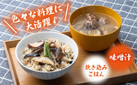 対馬 しいたけ セット 椎茸 きのこ 離島 国産 乾燥茸 乾燥しいたけ  [WBM004]