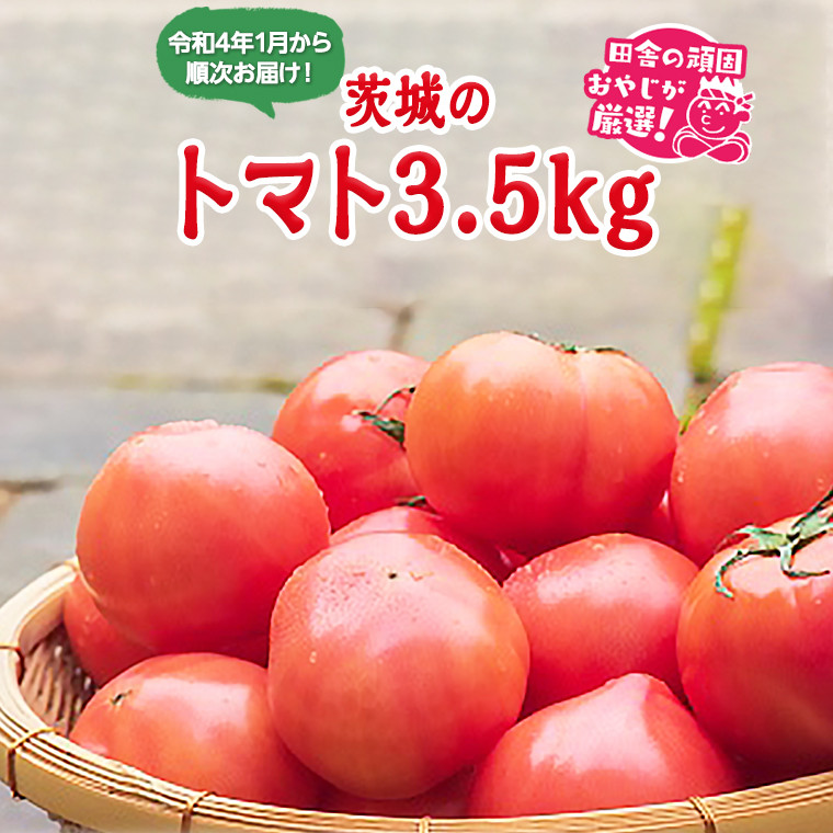 
茨城のトマト3.5kgセット【令和4年1月から順次発送】田舎の頑固おやじが厳選！
