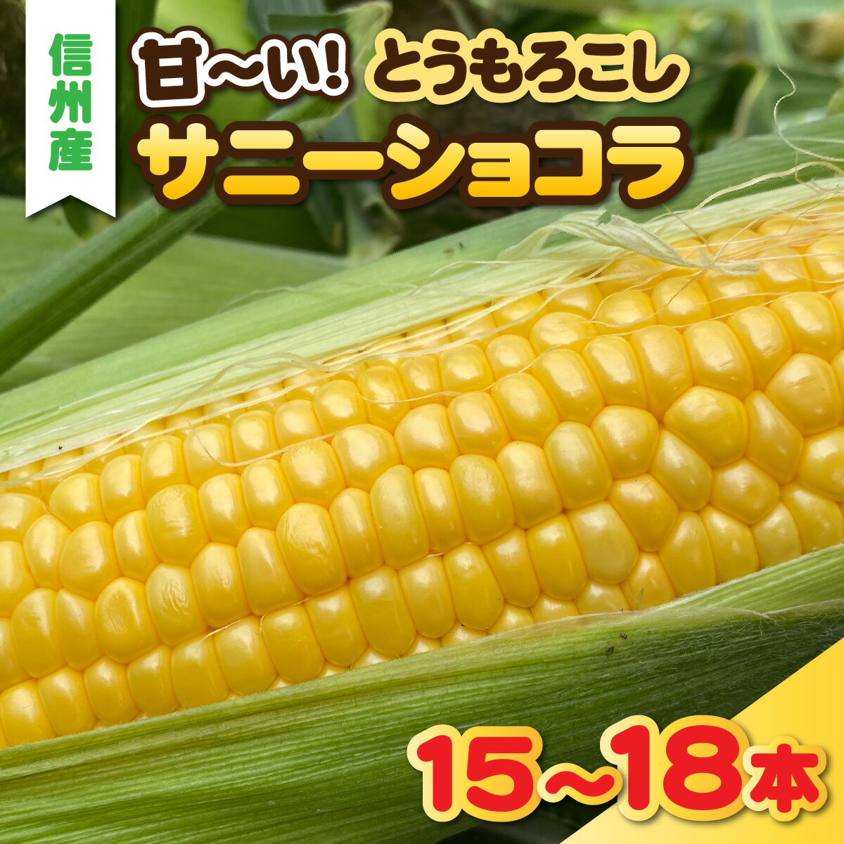 【ふるさと納税】夏の定番　甘ーいとうもろこし　サニーショコラ　15～18本セット