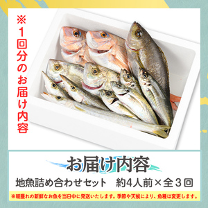 【3回定期便】鮮魚ボックス 鮮魚BOX 地魚 詰め合わせ 約4人分 産地直送【マルケイ水産】C09002