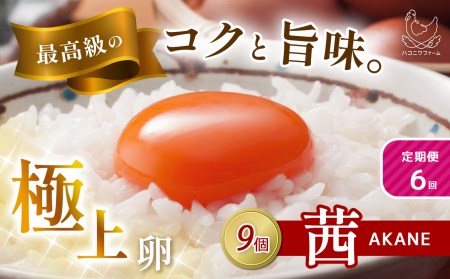 【定期便6回】 高級品質 ! 箱庭たまご 「茜」 9個 真岡市 栃木県