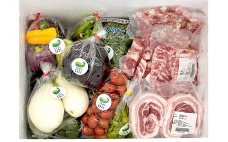 岩手ブランド豚 四元豚 おまかせカット肉＆ひき肉 うるおい野菜セット 季節の野菜セット GIFTON お歳暮 新鮮 うるおい春夏秋冬 希少 豚 肉 ポーク 豚バラ ロース トンテキ しゃぶしゃぶ 薄切