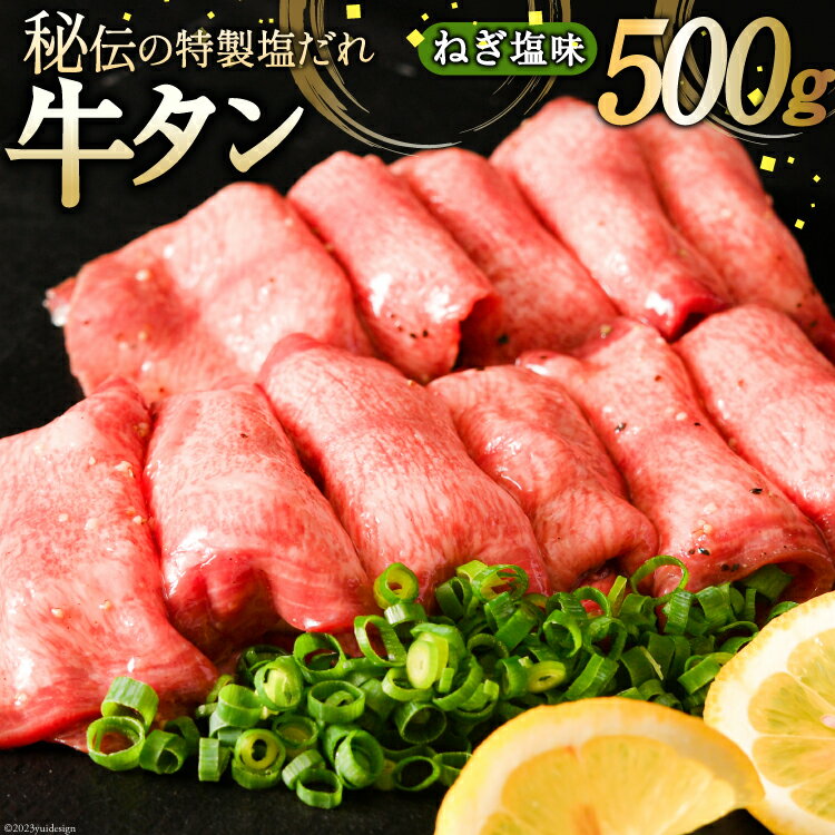 【ふるさと納税】牛タン ミートよねくらの味付牛タン ねぎ塩味 500g [気仙沼市物産振興協会 宮城県 気仙沼市 20565285] 肉 精肉 焼肉 牛たん タン 薄切り スライス 冷凍 アウトドア BBQ 簡単 味付き 塩 タン塩 たん塩 たん