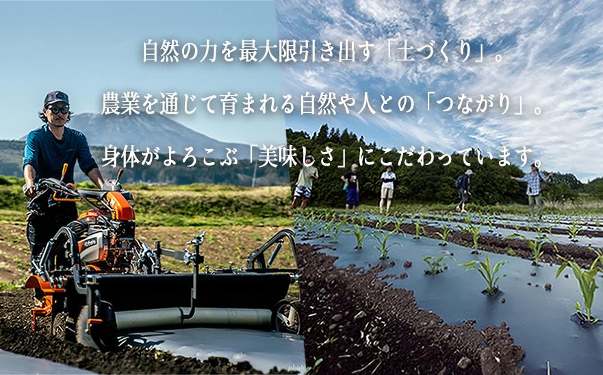 [ クール便 / 冷蔵便 ] 【 NAO's FARM 】 生で食べられる とうもろこし × 10本 2025年7月下旬頃から2025年8月中旬頃まで順次発送予定 令和7年度収穫分 株式会社みみずや 