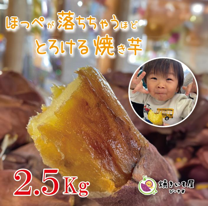 
                  焼き芋屋ぴーすの熟成冷凍焼き芋 2.5kg FC014036
                