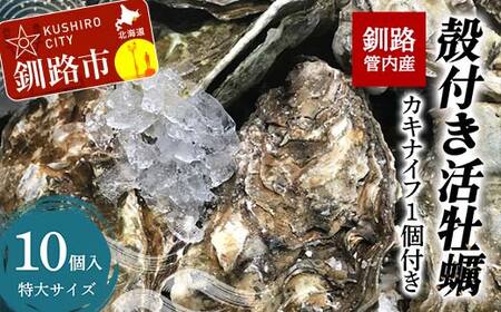 【期間限定！寄附額改定↓！】釧路管内産！殻付き活牡蠣【特大】10個 F4F-2990