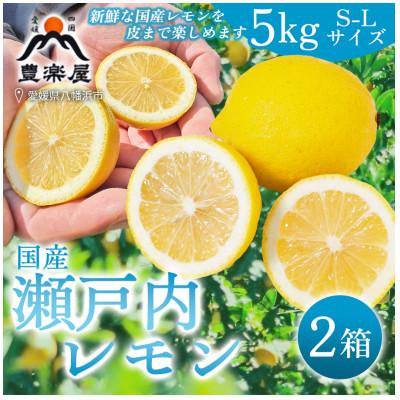 ふるさと納税 八幡浜市 【防腐剤・ワックス不使用で安心】真穴産地直送のレモン　5kg×2箱(S~Lサイズ)【H98-10】 |  | 01