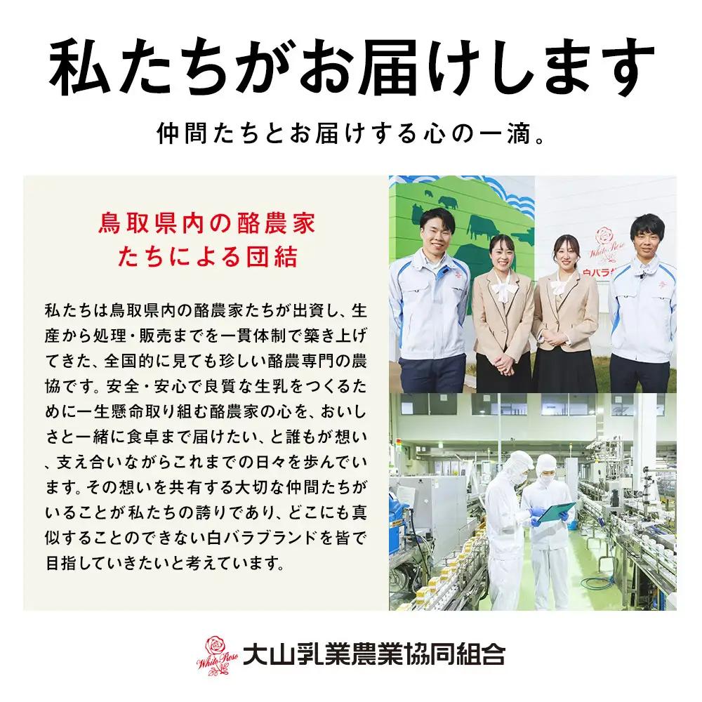 白バラプレミアムアイスギフト８個