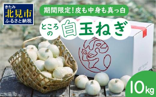 【予約：2025年7月中旬から順次発送】ところの白玉ねぎ 10kg ( 玉ねぎ タマネギ 玉葱 野菜 白玉ねぎ 10キロ 期間限定 辛みが少ない 生食 )【121-0008-2025】