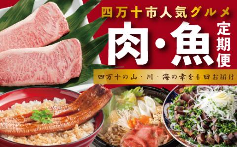 【4ヵ月連続定期便】四万十市人気魚介＆お肉返礼品 23