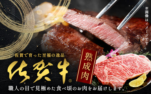 V-7  【熟成肉『ステーキ満喫』コース】佐賀牛 ロースステーキ２５０ｇ×１０枚
