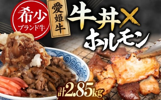 【冷凍】　愛姫牛 肉屋のこだわりお惣菜セット 牛丼×9食とミックスホルモン×1,500g 計2,85kg 愛媛県大洲市/有限会社 木村屋精肉店 牛丼 牛肉 和牛 牛 国産 [AGCC074]国産和牛 愛媛県産 大洲市産 人気 おすすめ ランキング 簡単 おいしい お肉 肉 国産肉 焼肉 送料無料 お取り寄せ グルメ ホルモン 冷凍 焼き肉 BBQ バーベキュー グルメ 簡単調理 牛皿 牛めし