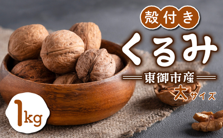 信濃くるみ 殻付き 1kg（大サイズ） 【長野県東御市産ブランド】NHKでも紹介♪ 令和7年産 新物 国産※2025年11月中旬以降発送（月、火、金曜日発送限定、曜日、日付指定不可）