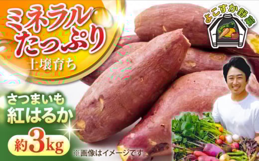 【先行予約】さつまいも　紅はるか　約3kg（10月～12月） 野菜  やさい 【鈴也ファーム】 [AKCE024]