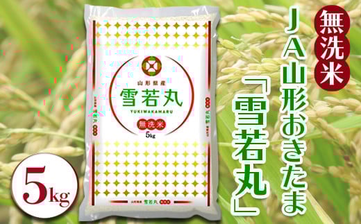 
                  【令和7年産】JAおきたま「無洗米雪若丸」5kg_A169(R7)
                