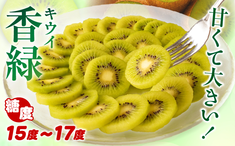 【先行受付】ご家庭用香緑キウイ　約1.5kg【香川県共通返礼品】 | キウイ フルーツ 果物 香川県 香緑 デザート サラダ ヨーグルト トッピング 国産 季節限定 青果物 旬 おすすめ |_mk00