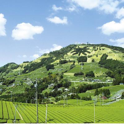ふるさと納税 掛川市 【訳あり】深蒸し掛川茶100g×10袋の合計1kg |  | 03