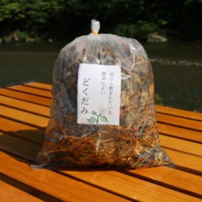 ふるさと納税 田辺市 どくだみ茶6袋セット【otm031-1】