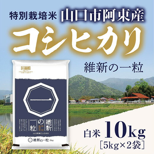 C117【ふるさと納税】維新の一粒5kg×2袋（白米）