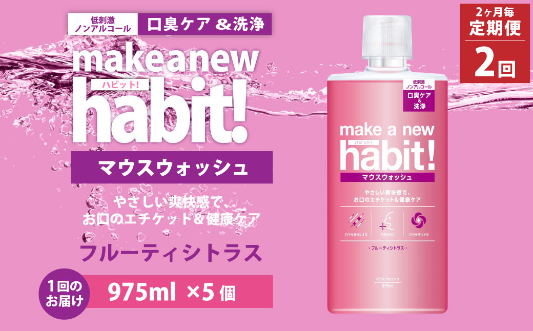 
【2ヶ月毎2回定期便】マウスウォッシュ メイクアニューハビット （ノンアルコール フルーティシトラス）975ml×5個 セット 洗浄 洗口液 日用品
