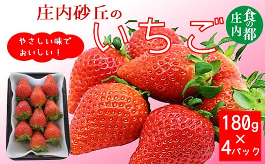 
            食の都庄内　庄内砂丘のいちご4パック※令和7年1月中旬頃より発送開始予定
          