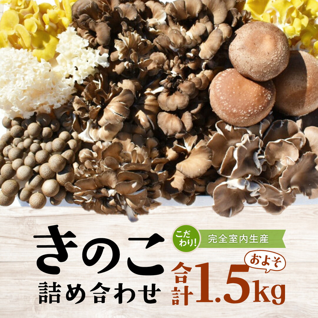 【ふるさと納税】きのこ の 詰め合わせ Mサイズ ( 約1.5kg ) （茨城県共通返礼品：城里町） キノコ セット 野菜 低カロリー ダイエット デトックス バラエティ セット 新鮮
