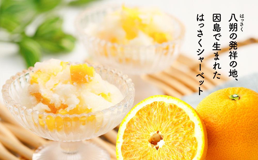 因島のはっさくシャーベット(未凍結）（75g×5個）3箱 15個セット【八朔 柑橘 みかん ゼリー シャーベット デザート おやつ 広島の 給食 はっさく JA 広島 尾道】