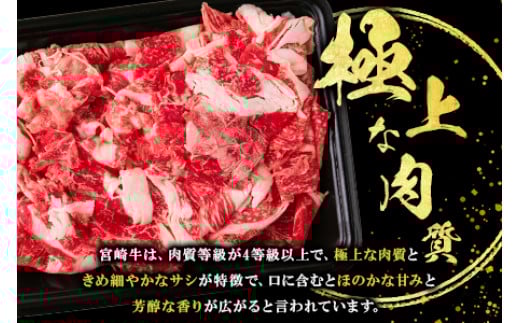 宮崎牛！