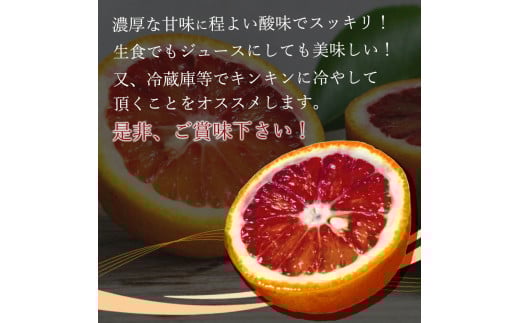 希少な柑橘!紀州有田産ブラッドオレンジ約5kg 【ご家庭用】※2026年3月上旬頃～3月中旬頃に順次発送 (お届け日指定不可) 【uot853】