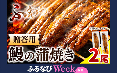 【ふるなびweek対象】上板町産うなぎの蒲焼 贈答用 2尾　※オリジナルのギフトBOXに入れてお送りします！《30日以内に出荷予定(土日祝除く)》FN-Limited