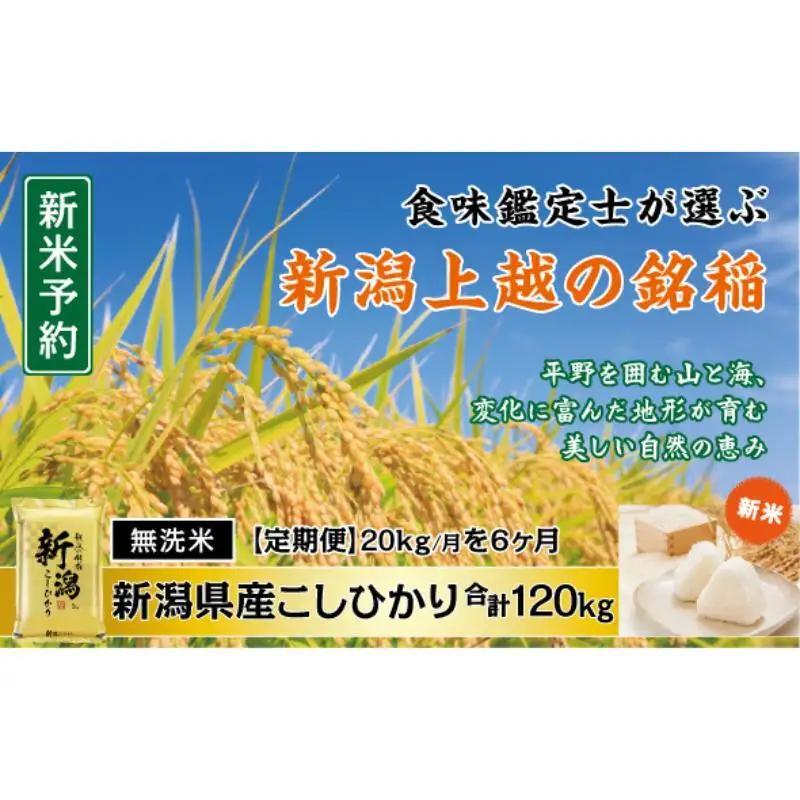 【定期便6か月】食味鑑定士厳選 コシヒカリ 無洗米 コシヒカリ 20kg
