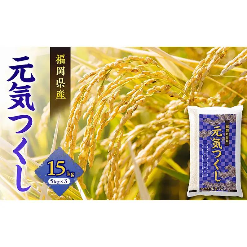 新米 元気つくし 15kg 令和8年産 米 お米