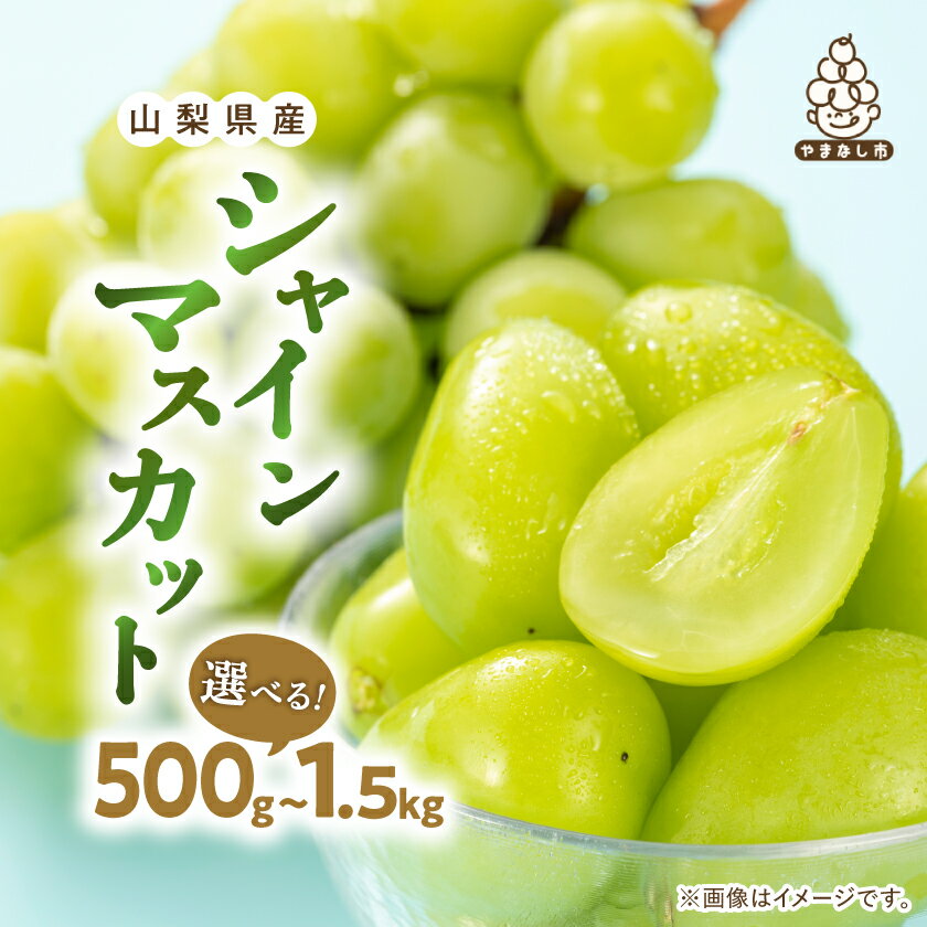 【ふるさと納税】厳選 池田青果のシャインマスカット500g/1kg / 1.2kg/1.5kg 【配送不可地域：離島・沖縄県】【G1280515】