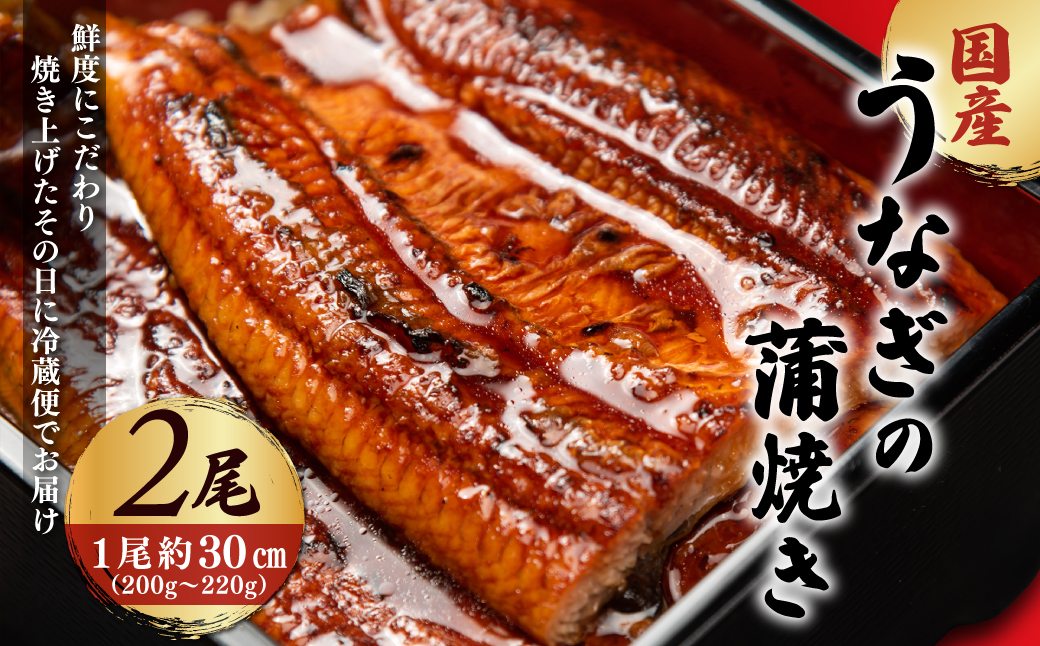 ＜凍らさず美味しさそのまま！〆たて・焼きたてを冷”蔵”で発送＞地元飲食店に愛される美味さにこだわった 国産うなぎの蒲焼き (2尾)【fc-ZF001-B】【由良川漁業協同組合】