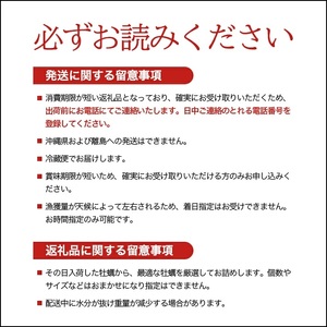 SE0387　天然岩牡蠣　計3kg以上(9～12個入)