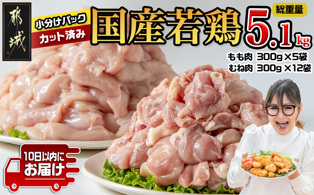 国産若鶏5.1kg 小分けパック!カット済み!(もも300g×5P・むね300g×12P)≪みやこんじょ特急便≫_MJE-33-007-N5100g-Q
