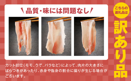 【丸善味わい加工】国産 豚肉 切り落とし 4kg（500g×8）