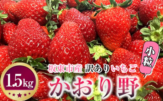 
No.271 先行予約「坂東市産」訳ありいちご　かおり野　小粒や規格外品など詰め合わせ1.5kg　ジャムやイチゴミルクなどに ／ イチゴ 苺 フルーツ 果物 茨城県 特産品
