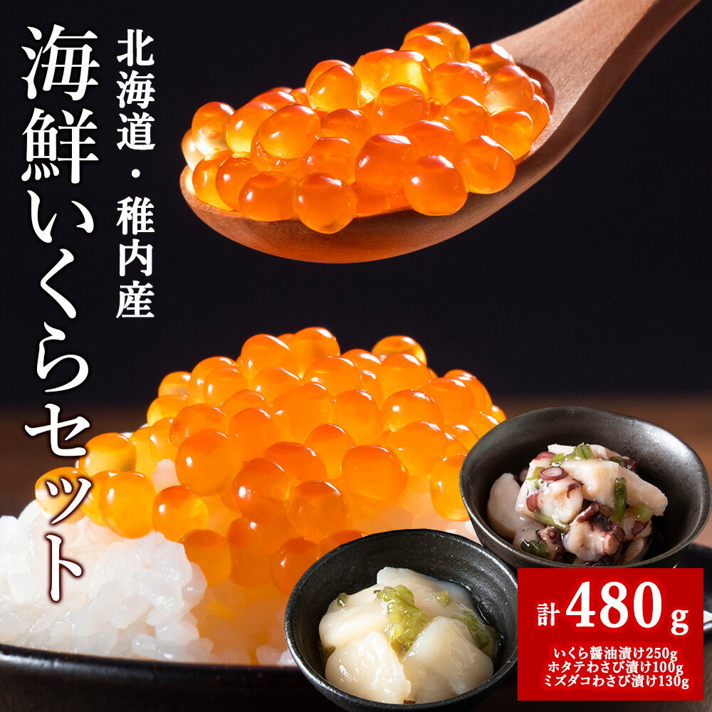 【ふるさと納税】稚内いくら海鮮セット(いくら醤油漬け&わさび漬け2種)いくら 醤油漬け ほたて 帆立 ミズダコ 水タコ ワサビ漬け わさび漬け 加工品 北海道ふるさと納税 稚内 ふるさと納税 北海道 【配送不可地域：離島・沖縄県】