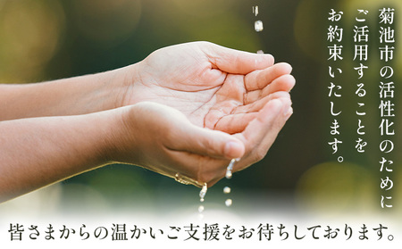 菊池市への寄附(返礼品はありません) 熊本県 菊池市 返礼品なし 10,000円